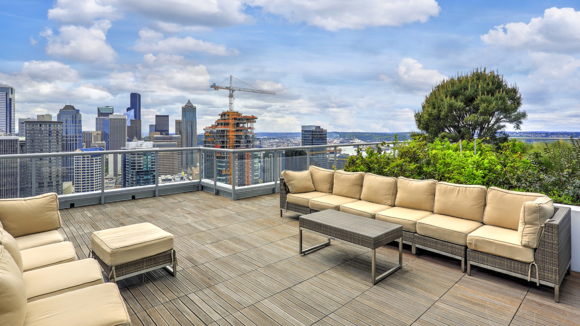 Roof Garden